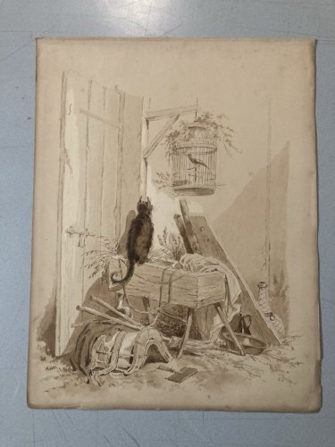 Peinture Lavis Encre Sur Papier XIXe  1850 Chat Animal Animaux Oiseau