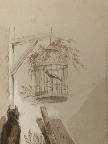 Peinture Lavis Encre Sur Papier XIXe  1850 Chat Animal Animaux Oiseau
