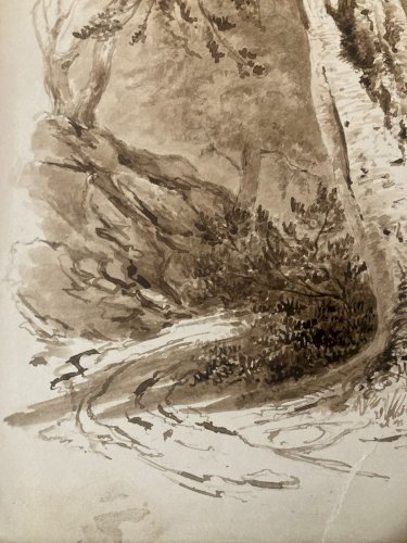 Peinture Lavis Encre Sur Papier XIXe  1850 Forêt Paysage Arbre Tronc