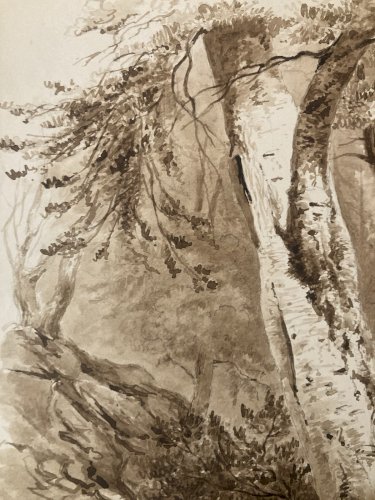 Peinture Lavis Encre Sur Papier XIXe  1850 Forêt Paysage Arbre Tronc