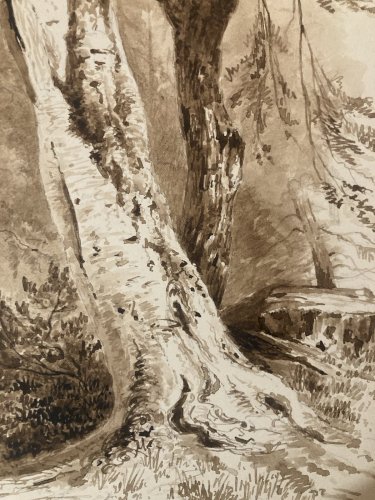Peinture Lavis Encre Sur Papier XIXe  1850 Forêt Paysage Arbre Tronc