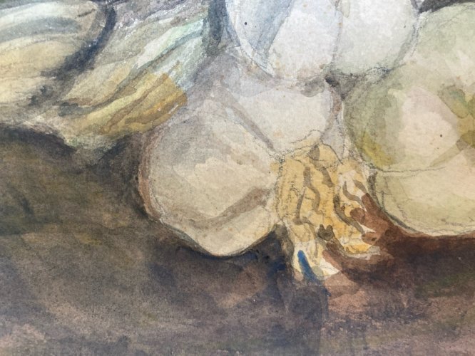 Peinture nature morte a La Gousse D Ail Aquarelle Gouache Papier 1900 Art