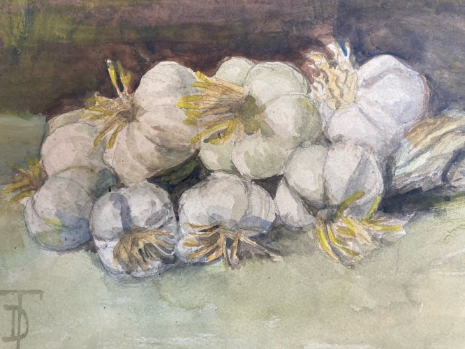Peinture nature morte a La Gousse D Ail Aquarelle Gouache Papier 1900 Art