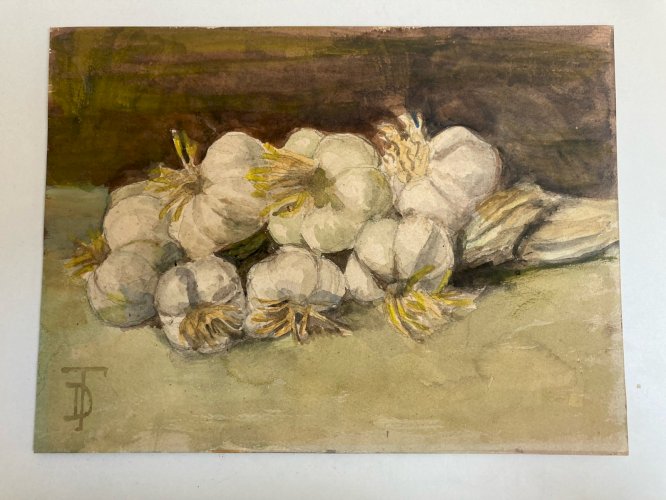 Peinture nature morte a La Gousse D Ail Aquarelle Gouache Papier 1900 Art