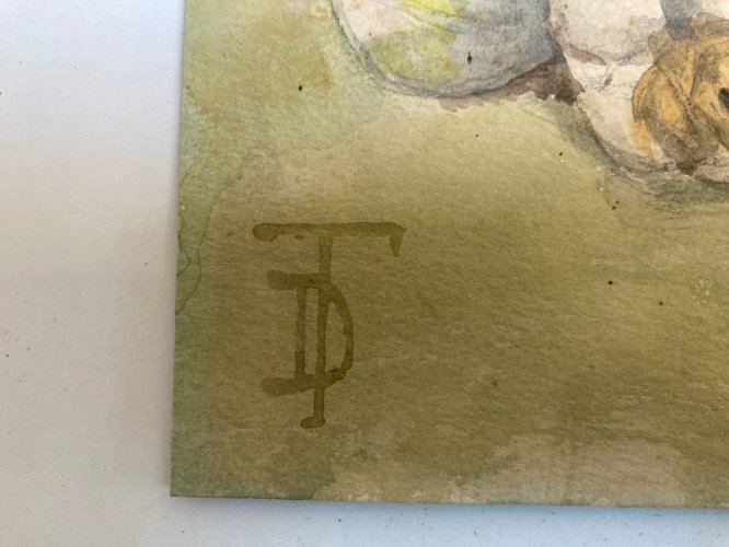 Peinture nature morte a La Gousse D Ail Aquarelle Gouache Papier 1900 Art