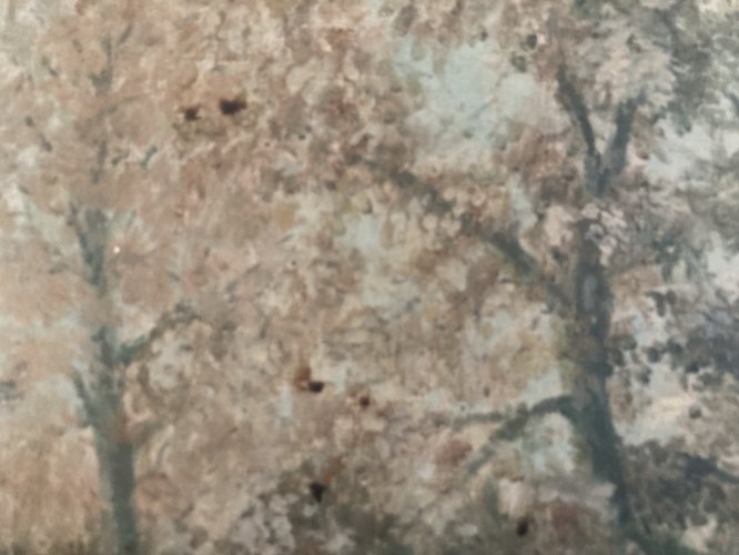 Peinture Paysage Marine Huile Toile  1920 Maison Forêt Arbre À Identifier