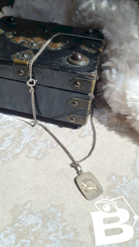 Pendentif astrologique Capricorne avec poinçon 835 et 925