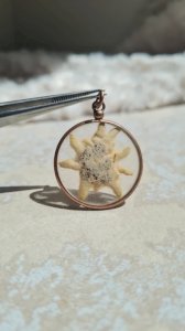 Pendentif Edelweiss dans un porte-photo en laiton