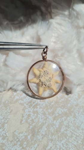 Pendentif Edelweiss dans un porte-photo en laiton