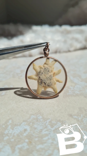 Pendentif Edelweiss dans un porte-photo en laiton