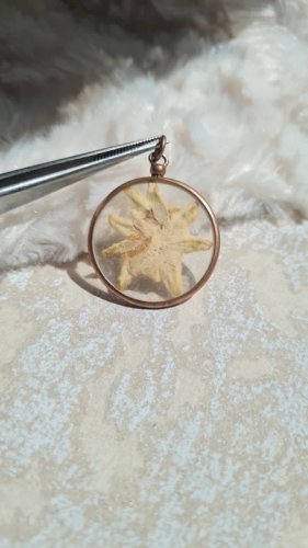 Pendentif Edelweiss dans un porte-photo en laiton