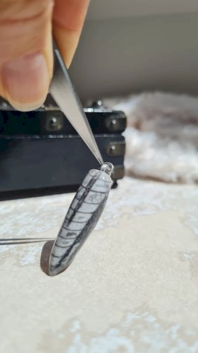 Pendentif fossile Orthoceras