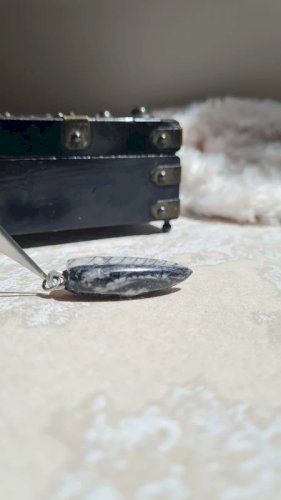 Pendentif fossile Orthoceras
