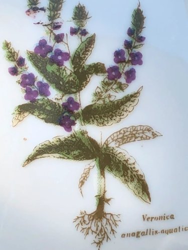 Petite boîte en porcelaine motif botanique