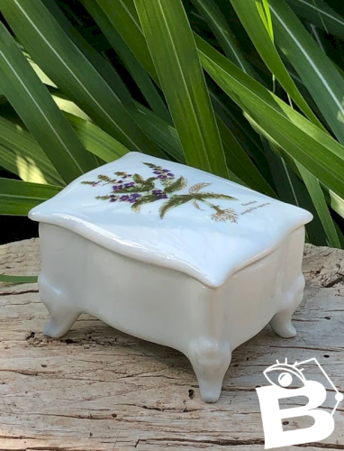 Petite boîte en porcelaine motif botanique