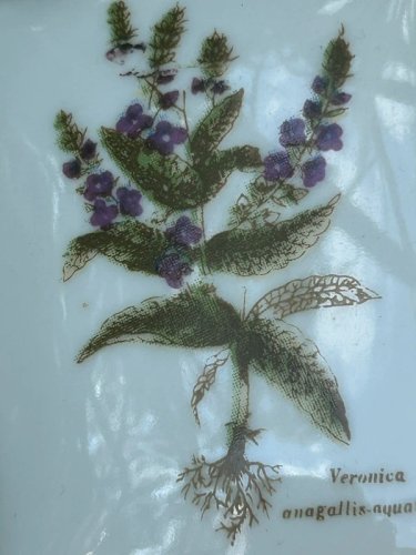 Petite boîte en porcelaine motif botanique