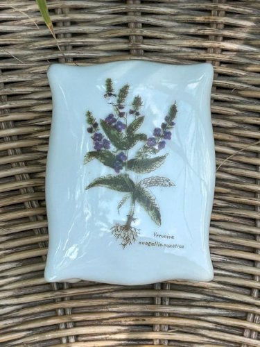 Petite boîte en porcelaine motif botanique