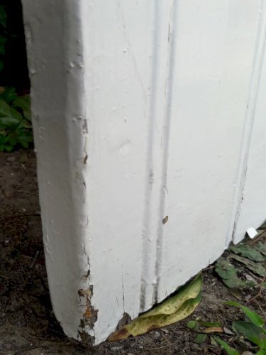 Petite porte ancienne en sapin H120xL60cm (trappe d’escalier) 