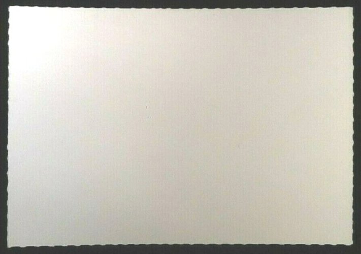 Photo-Carte dentelée " Le Richelieu "  Maquette au1/100ème Constructeur Mr Chevrolet Taillecourt (Doubs)