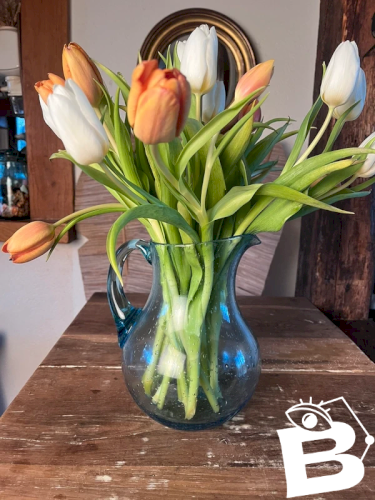 Pichet en verre bullé Biot