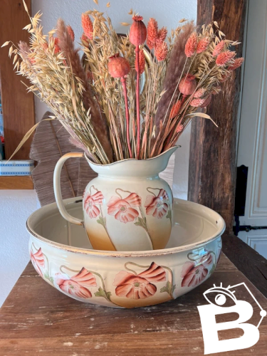 Pichet et cuvette en tôle émaillée Art Nouveau