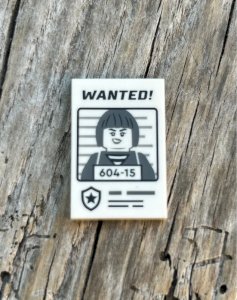 Lego piece/accessory wanted poster