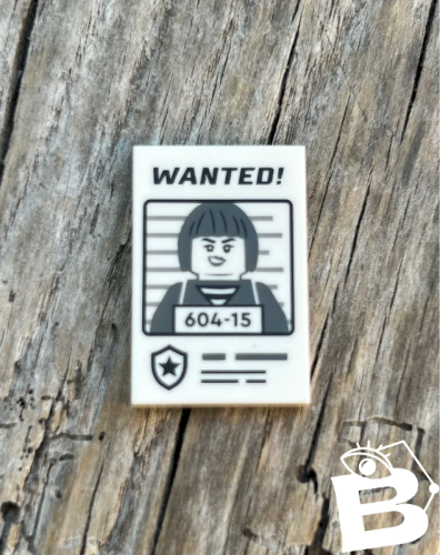 Pièce/accessoire Lego avis de recherche