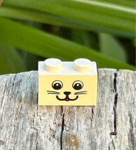 Pièce/accessoire Lego