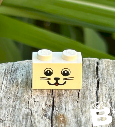 Pièce/accessoire Lego