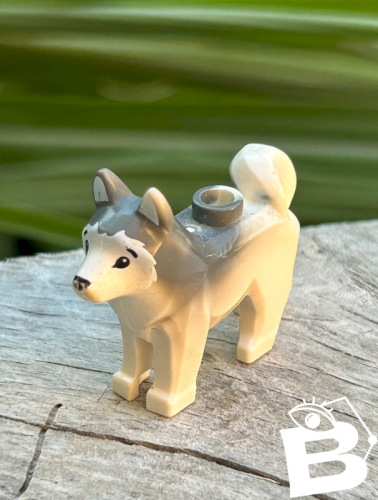 Pièce/accessoires Lego chien Husky