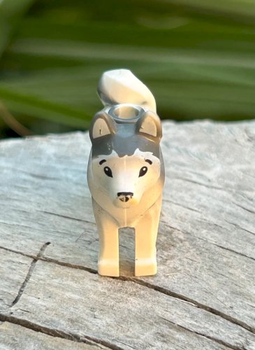 Pièce/accessoires Lego chien Husky