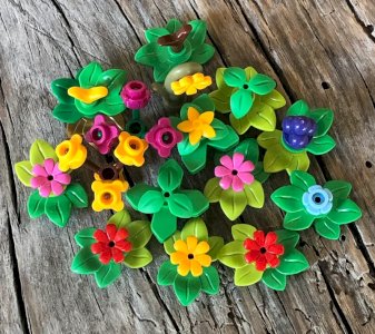 dot