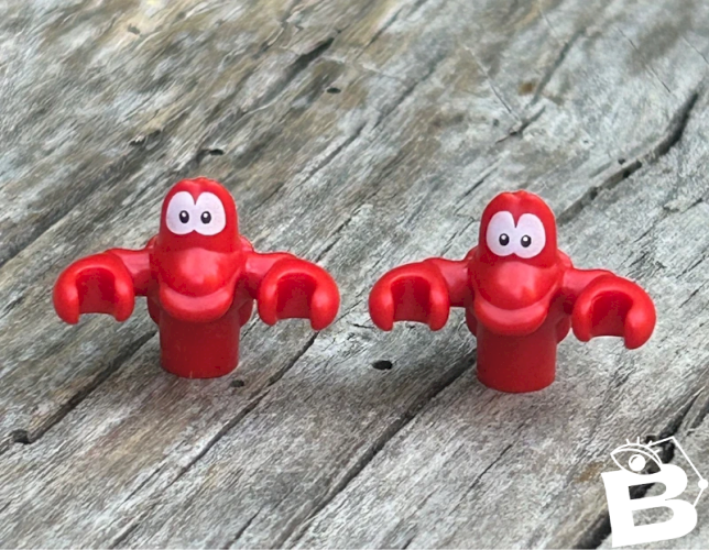 Pièces/accessoires Lego