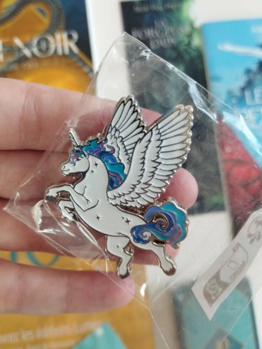 pin's licorne 