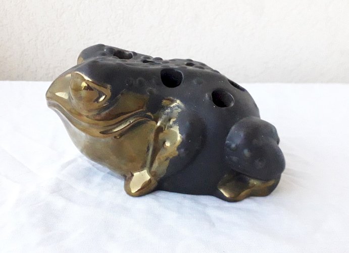 Pique-fleur grenouille