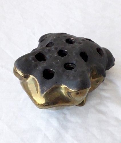 Pique-fleur grenouille