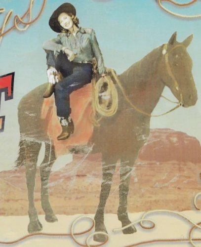 Plaque métal western GREETING FROM THE WEST - 40 x 25 cm déco USA country