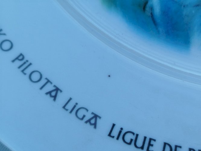 Plat basque Euskal herriko pilota liga, ligue de pelote du pays basque, illustré par Partarrieu