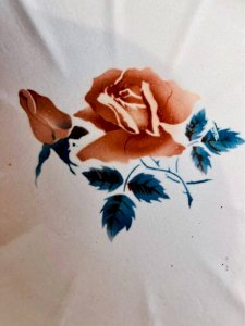 dot