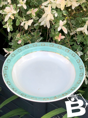 Plat creux vintage blanc et vert céladon