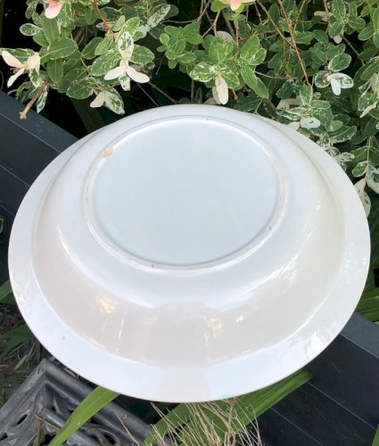 Plat creux vintage blanc et vert céladon