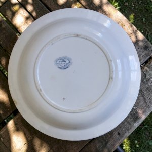 dot
