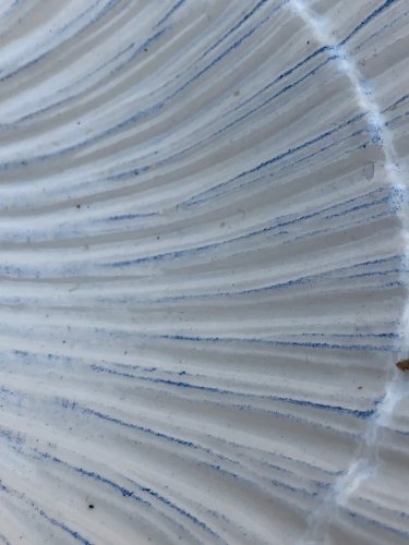 Plat de service en céramique du Portugal