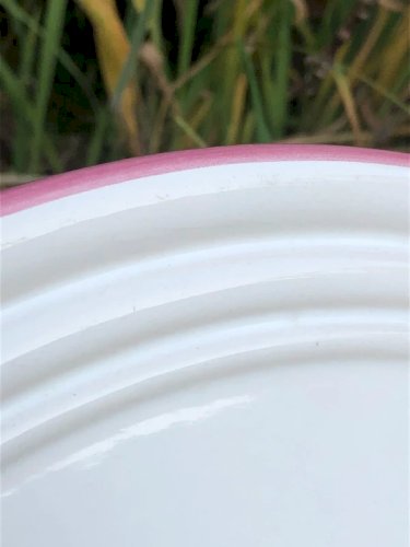 Plat en faïence Italienne Primula