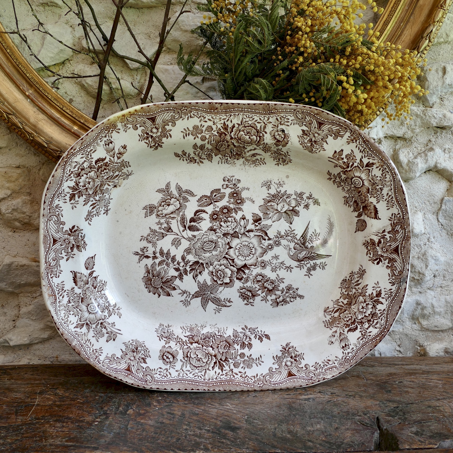Légumier - Terre de Fer - Creil & Montereau - Coquillages - Brocante en ligne