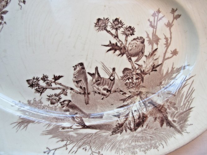 "Plat ovale 32 X 24 cm Terre de Fer Creil Montereau modèle Chardonnerets Oiseaux