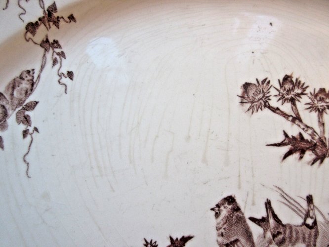 "Plat ovale 32 X 24 cm Terre de Fer Creil Montereau modèle Chardonnerets Oiseaux
