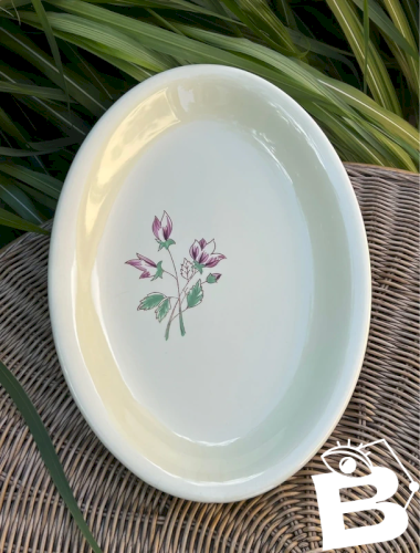 Plat rétro vintage Salins modèle Rose Éric
