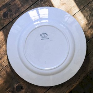 dot