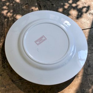 dot